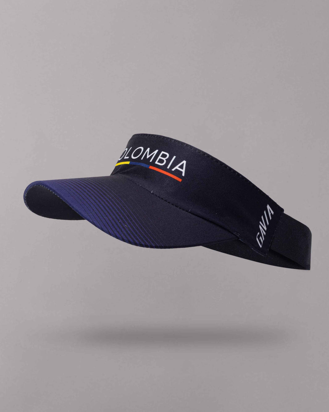 Visera