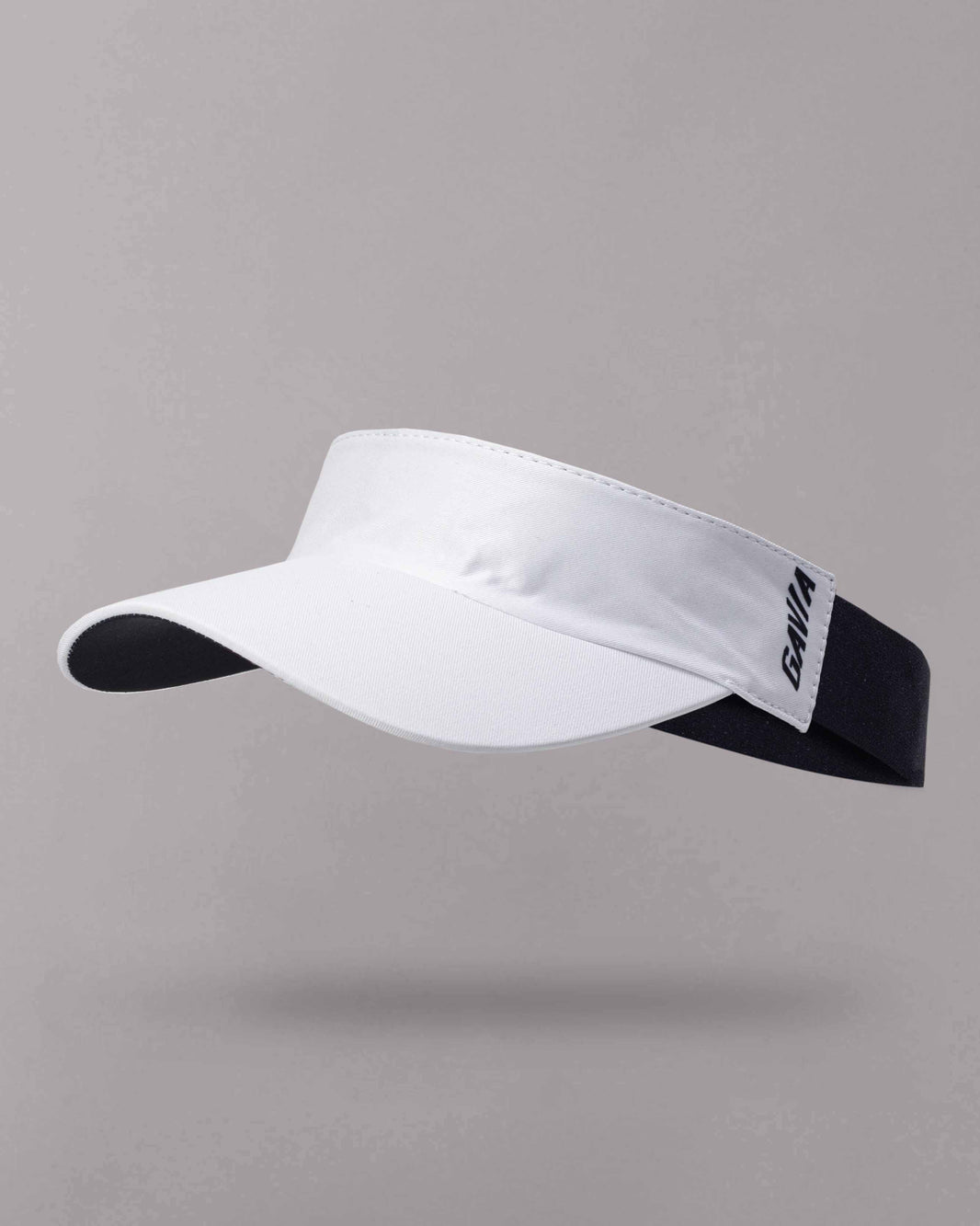 Visera