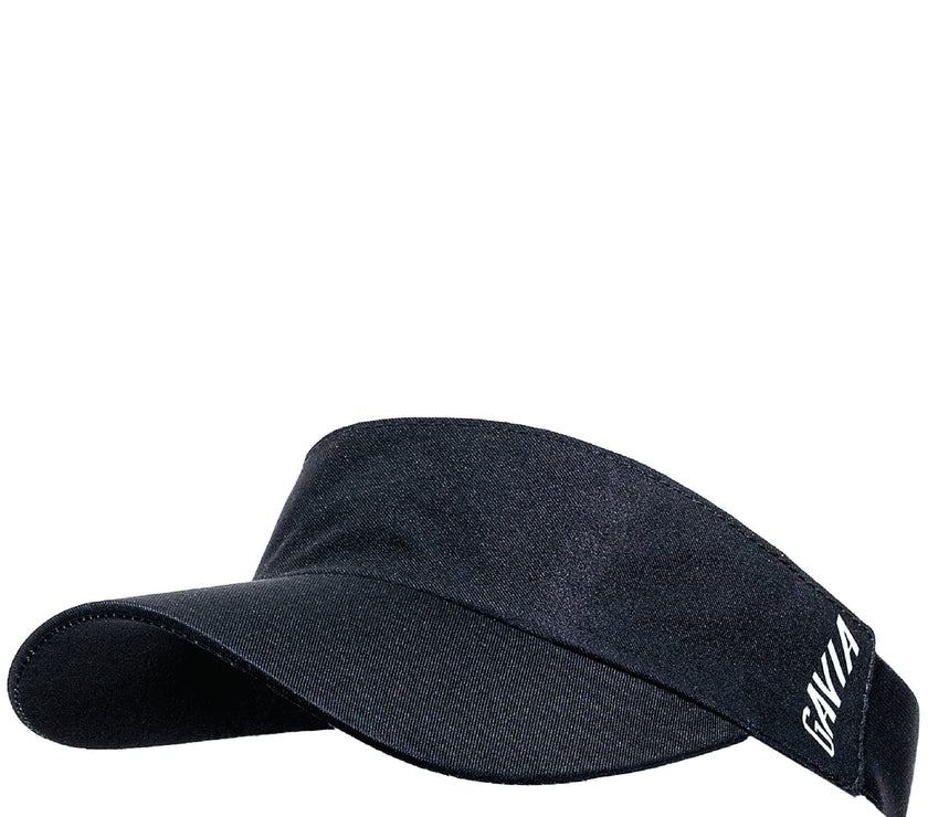 Visera