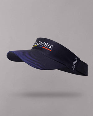 Visera