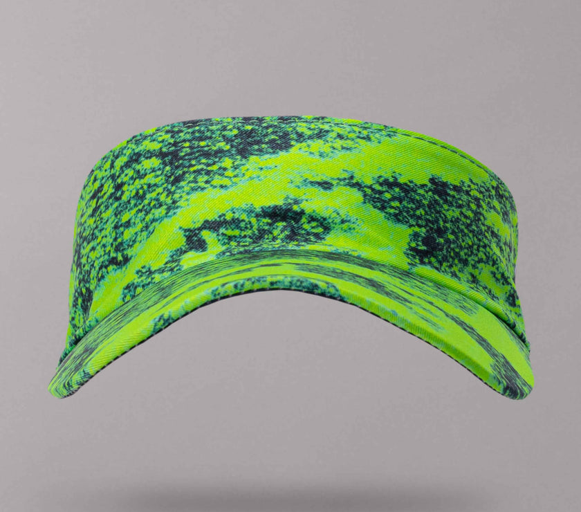 Visera