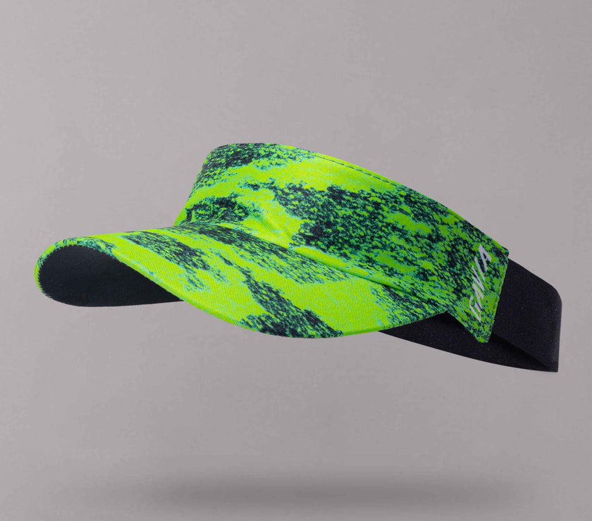 Visera