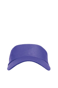 Visera