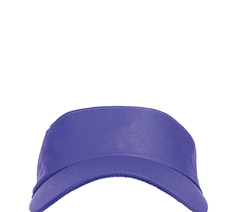 Visera